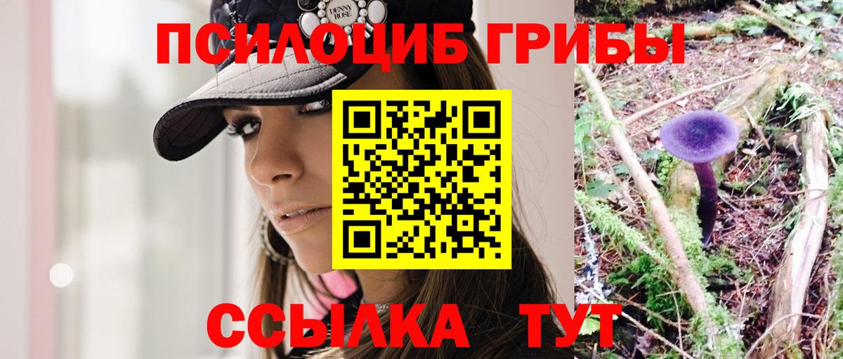 Псилоцибиновые грибы мухоморы  Вход с VPN  Егорьевск 